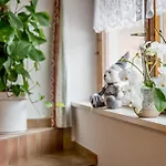 Acherkogelblick 게스트하우스 3*