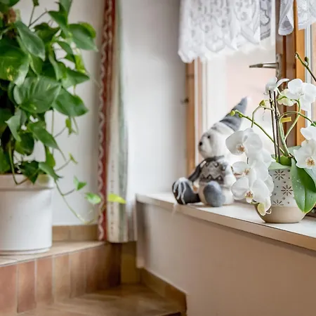 阿切客格力酒店 招待所 3*