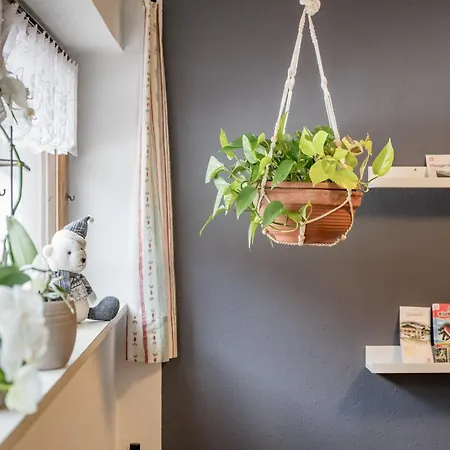 招待所 阿切客格力酒店 3*