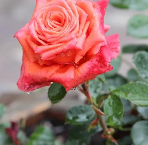 Gasthof Acherkogelblick 3*