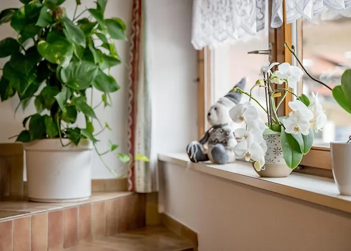 Acherkogelblick Gasthof 3*